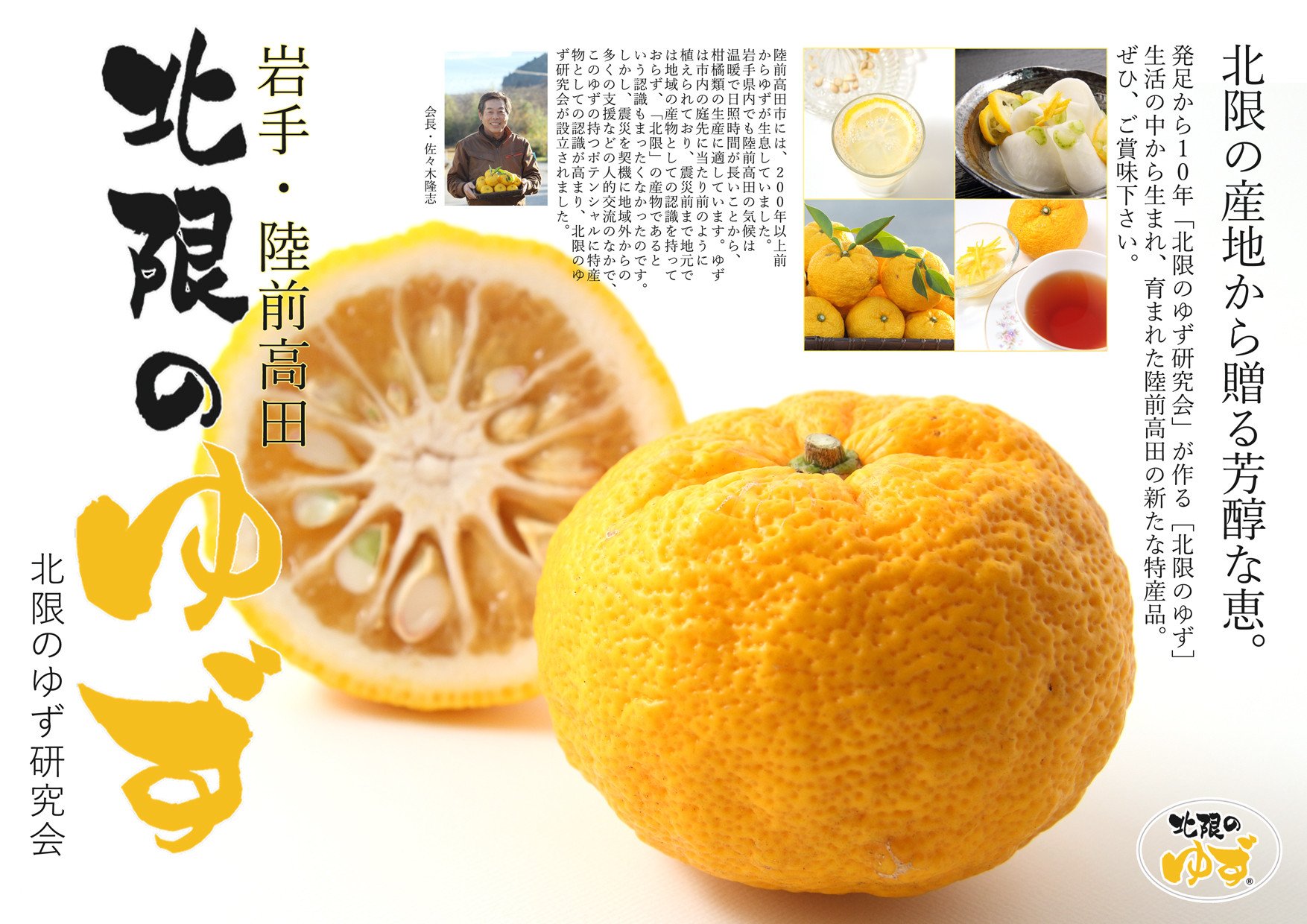 
            【期間限定】北限のゆず（黄玉）約1kg 【 柚子 ユズ 旬 果物 フルーツ 料理 産地直送 岩手 陸前高田 】RT2649
          