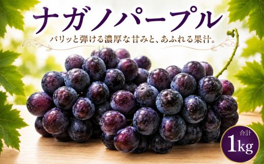 【2026年8月下旬発送開始】 ナガノパープル 2房 約 1kg ｜ ナガノパープル 種なし ながのぱーぷる 1キロ ぶどう ブドウ 大粒 果物 くだもの フルーツ 黒ぶどう 葡萄 種無し 種なしぶどう 皮ごと 茨城県 筑西市 関東 ファームオアシス