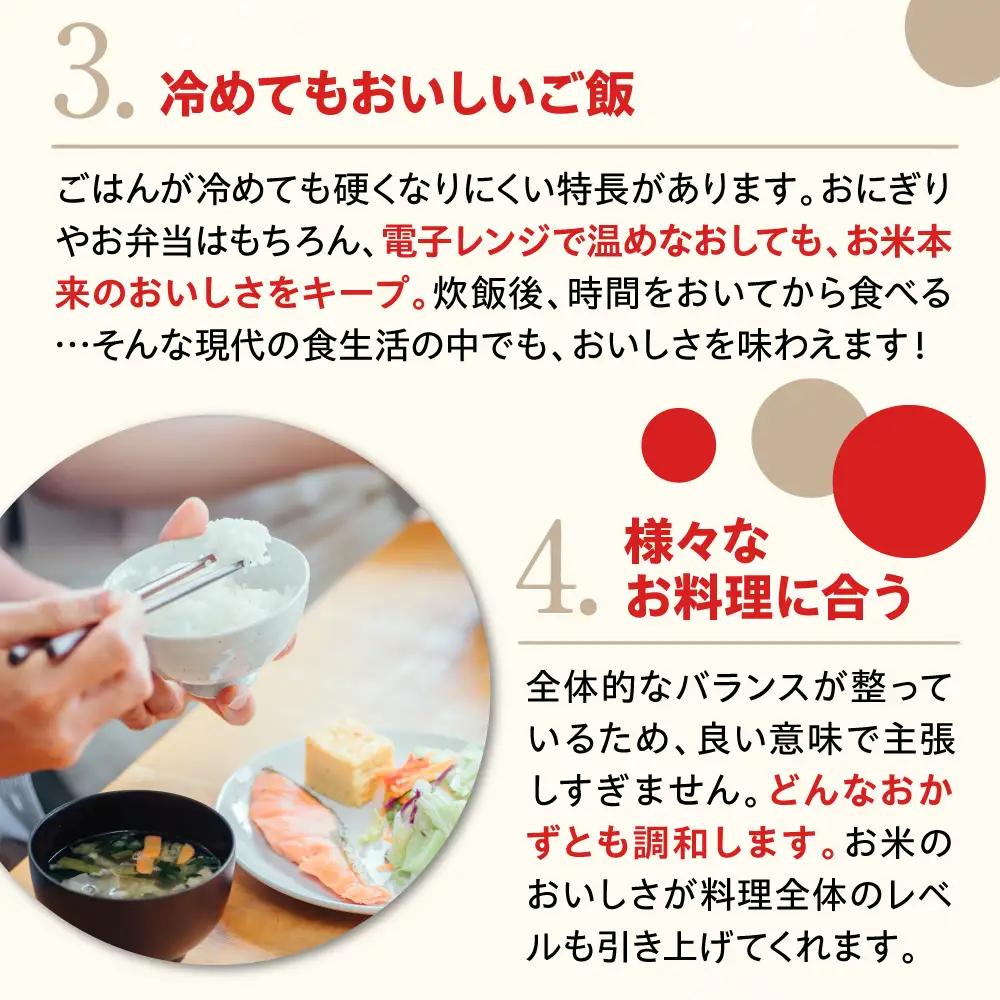 【2027年1月中旬発送】令和8年産 新潟県上越妙高産 新之助 10kg