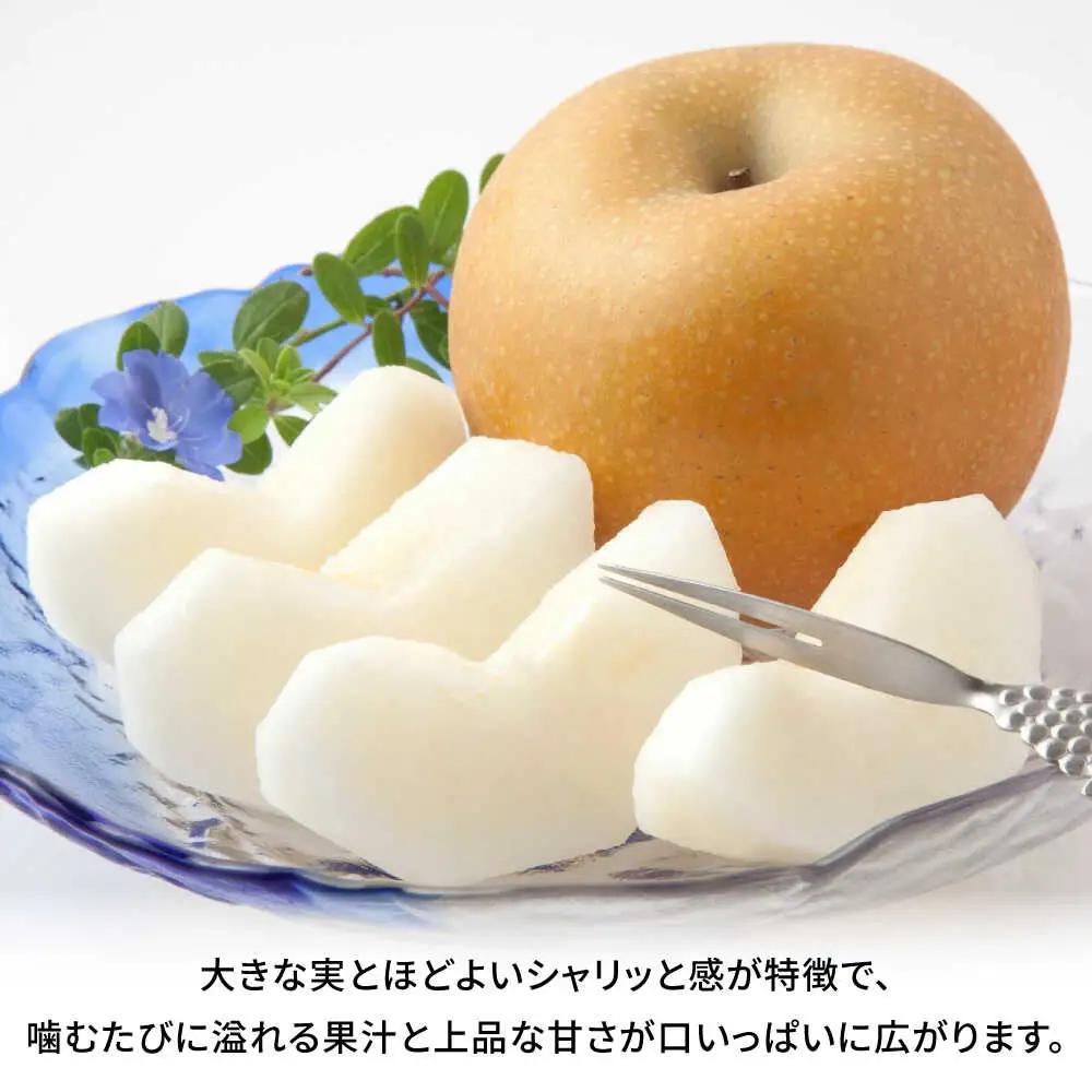 【先行予約】秋月梨　約3kg 梨 ナシ フルーツ 果物 【日本フルーツ株式会社】[ZFJ062]