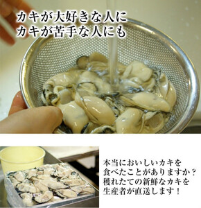 米田海産の広島かき むき身2kg (0.5kg×4袋) 加熱調理用