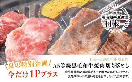 【鹿児島県産】A5等級黒毛和牛 焼肉 切り落とし 計1kg（250g×4P） 国産牛 牛肉 国産 焼き肉 カミチク 切落し おまかせ BBQ バーベキュー 小分けパック 冷凍
