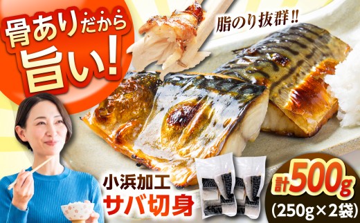ノルウェー産 塩サバ 切り身 500g（250g×2袋）お試し 若狭小浜加工 あえて骨付き 鯖 さば サバ 小浜市 / まるほ商店 【配送不可地域：北海道・沖縄・離島】 [BFCS012]
