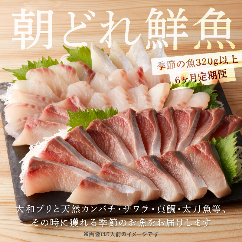 【6ヶ月定期便】大和海商 大和のこだわり漁師のお刺身4人前【冷蔵】 N072-YE131-1