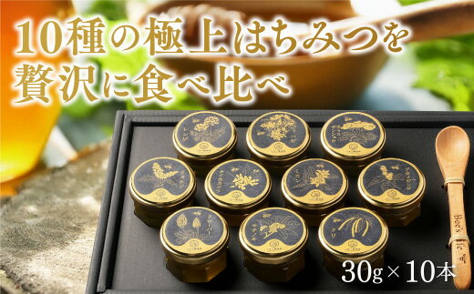 C090【ふるさと納税】山口県産　愛情いっぱい極上のはちみつ贅沢食べ比べ10種セット