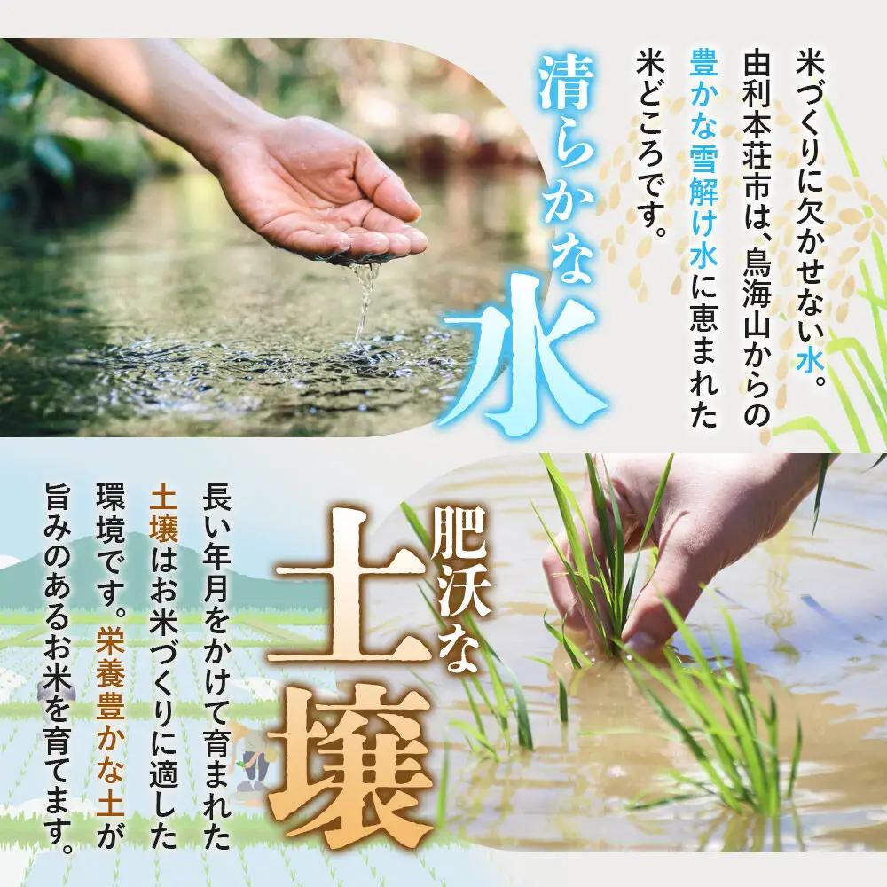 《令和8年産 新米受付》《定期便4ヶ月》【玄米】極上秋田銘柄米 あきたこまち 5kg