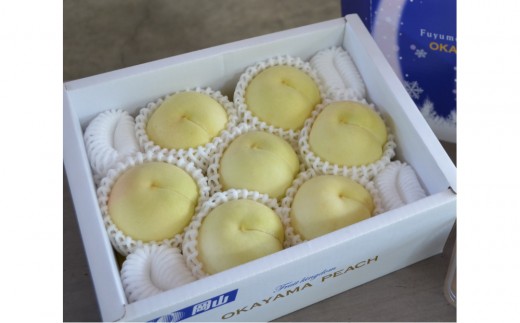 岡山冬桃がたり約1.35kg（7～9玉）【2026年12月上旬以降発送】