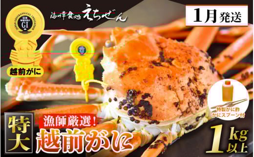 ≪浜茹で≫ 越前がに 特大 × 1杯（生で1kg以上） 越前がに漁師厳選！かに酢 かにスプーン2本 食べ方QRコード付き【雄 ズワイガニ ずわいがに 越前ガニ 姿 ボイル 冷蔵 福井県】【1月発送分】希望日指定可 備考欄に希望日をご記入ください [e38-x001_01]