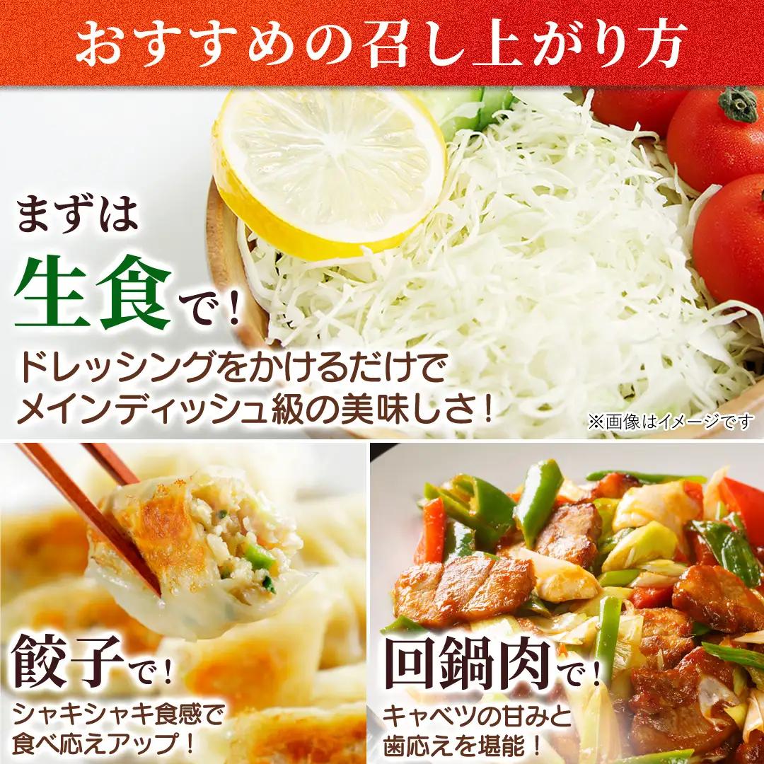 【ふるなびWEEK対象】＜レビューキャンペーン開催中＞【7月中旬発送開始】訳あり まぼろしの419キャベツ 4玉 [AL006tu] 