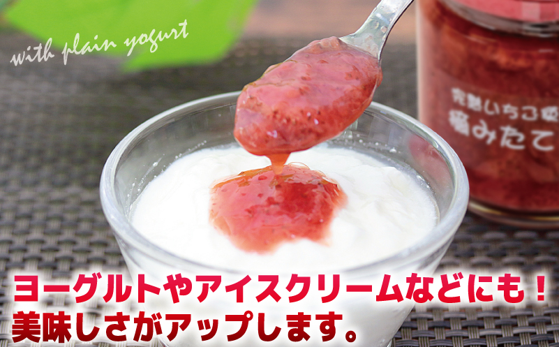 【先行予約】完熟朝摘みいちごのジャム【苺 無添加 自然素材 フルーツ イチゴ 高評価 数量限定】