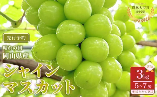 
            ぶどう 2026年  シャインマスカット 秀品 約3kg 合計5～7房 農林大臣賞受賞 岡山 国産 果物 フルーツ シャイン マスカット 2026年6月下旬から発送
          