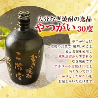 大分むぎ焼酎 二階堂 吉四六 瓶・豊後路・やつがい飲み比べセット(A) AG17