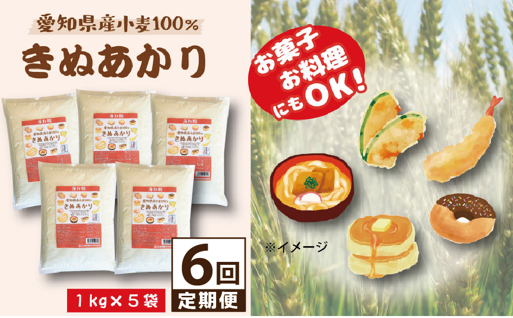 【小麦粉】愛知県産 きぬあかり 国産 薄力粉 1kg×5袋(計5kg) 定期便6回 麺づくり お菓子用 お料理 手打ちうどん きしめん 天ぷら ドーナツ アメリカンドッグ 保存に便利 チャック付き H008-269