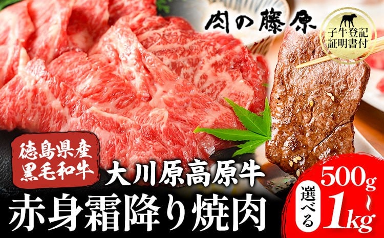 
            大川原高原牛 赤身霜降り焼肉用 選べる内容量 500g 1kg 株式会社肉の藤原《60日以内に出荷予定(土日祝除く)》徳島県 佐那河内村 和牛 希少 佐那河内 さなごうち 大川原高原 牛肉 焼肉 贅沢 あっさり バーベキュー BBQ 弁当 冷凍 ギフト 贈答
          