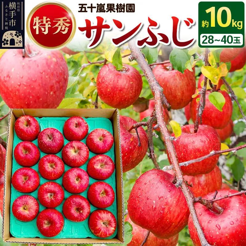 【先行受付】12月中旬より発送 サンふじ 【特秀】 約10kg（28～40玉）りんご 林檎