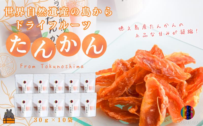 ～柑橘の爽やかな甘み凝縮！～徳之島産ドライフルーツたんかん（10袋） ( ドライフルーツ たんかん タンカン 柑橘 フルーツ 果物 島 奄美 鹿児島 農夢ワールド )