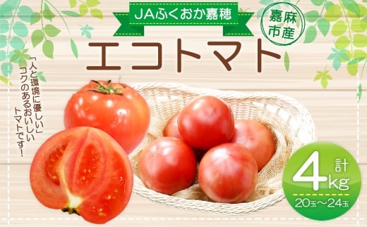 JAふくおか嘉穂 嘉穂のこくうま エコトマト4kg とまと 福岡県 嘉麻市 【2026年1月下旬-6月上旬迄順次発送予定】