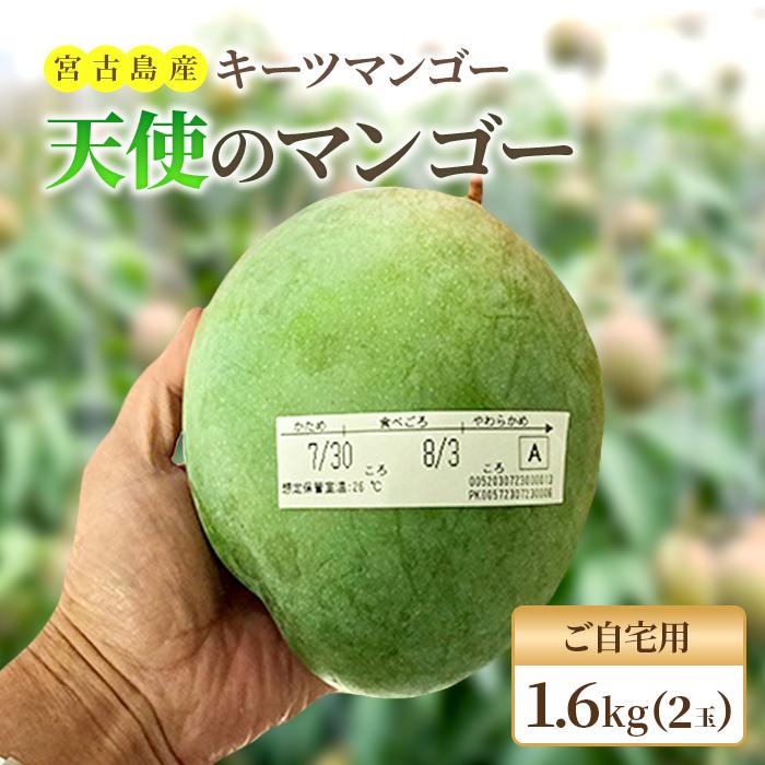 【ふるさと納税】《先行予約 2026年発送》『天使のマンゴー』宮古島産キーツマンゴー《LA MANGUE BLEUE》【ご自宅用】農家直送 1.6kg以上（2〜4個入り） | 家庭用 規格外 世界三大果実 キーツ 数量限定 特産 ご当地 お取り寄せ 送料無料 人気 沖縄 宮古島 南国（GZ007）
