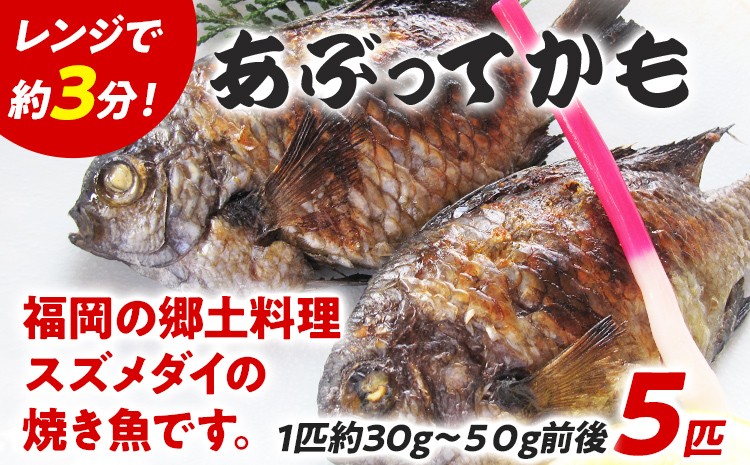 
                  福岡郷土料理 あぶってかも 5匹 スズメダイ 炙り 焼き魚 魚介類 惣菜 加工品 おかず おつまみ 冷凍 魚 福岡 九州
                