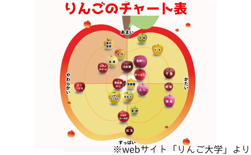 りんご 【12月発送】 家庭用 旬のりんご 品種おまかせ 約 5kg 2品種～4品種　リンゴ 林檎 青森りんご アップル おまかせ ランダム フルーツ 果物 デザート 旬 季節限定 産地直送 青森県産 青森県 西目屋村