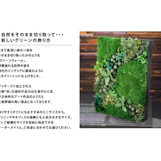 花 プリザーブドフラワー グリーンウォール800 ギフト プレゼント お祝い 誕生日 お供え アレンジ インテリア 東京都 墨田区