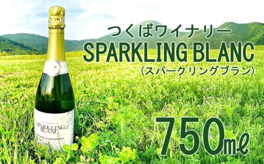 つくばワイナリー SPARKLING BLANC (スパークリングブラン)  【お酒 葡萄 ぶどう ブドウ 茨城県産 つくば市産 ワイナリー】