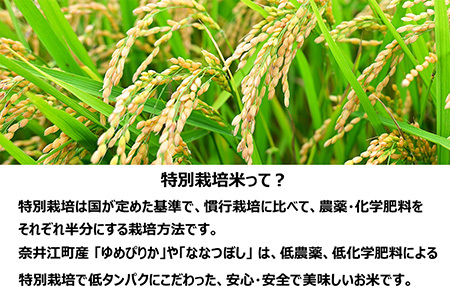 【定期便6回】北海道奈井江町　特別栽培米　ななつぼし　5kg