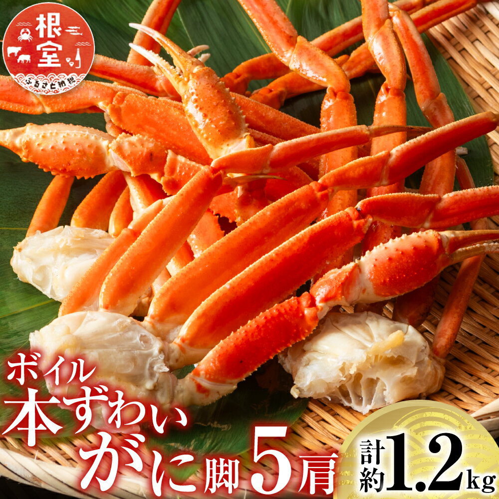 【ふるさと納税】 ボイル本ずわいがに脚 5 肩 ( 計約 1.2kg ) ズワイガニ ズワイ ずわい ズワイ蟹 ずわい蟹 かに カニ 蟹 お取り寄せ グルメ 海鮮 茹で蟹 茹でがに 茹でガニ 北海道 根室市 ふるさと納税 A-11246