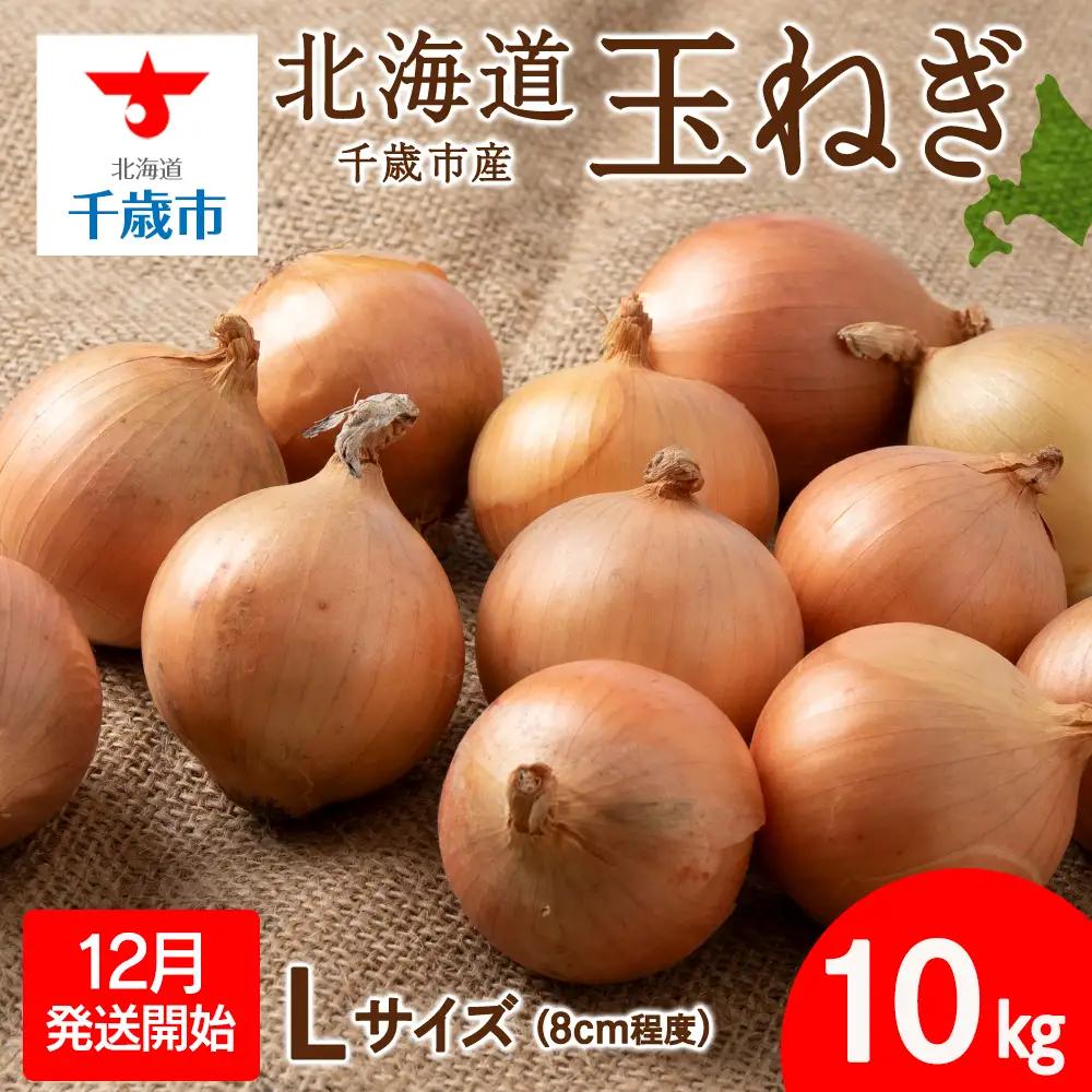 【先行予約】玉ねぎ 10kg Lサイズ 北海道 千歳市産 【假屋フードブリッジ】