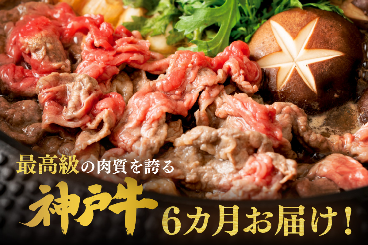 神戸牛 定期便 平山牛舗の厳選神戸牛 月1回発送 全6回 冷凍 牛肉 香美町 61-14