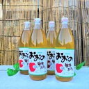 【ふるさと納税】 大野産りんごジュース4本