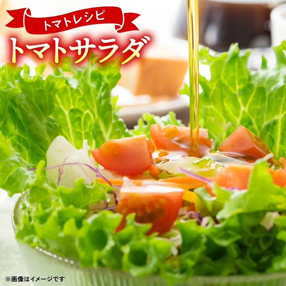 トマト 【先行予約】 訳ありトマト 約2kg 【2027年4月中旬より順次発送】 トマト