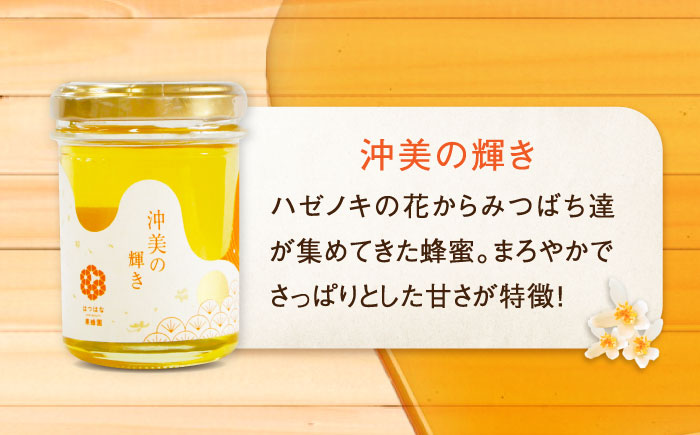 まじりっけなし！江田島産100％!はちみつ『沖美の輝き』120g×6本セット ハチミツ ハニー 蜂蜜 国産 広島県 江田島市/はつはな果蜂園 [XCD003]