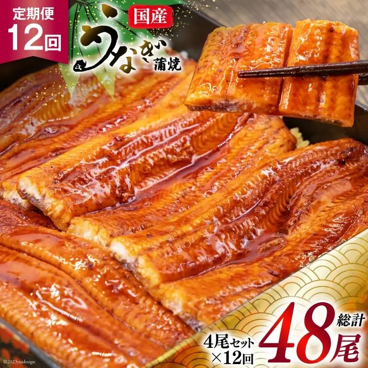 うなぎ 国産 鰻 蒲焼き 4尾 12回 定期便