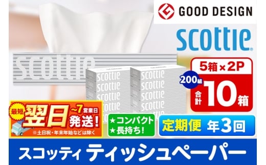 《4ヶ月ごとに3回お届け》定期便 ティッシュペーパー スコッティ 200組 10箱(5箱×2パック) ティッシュ 秋田市オリジナル