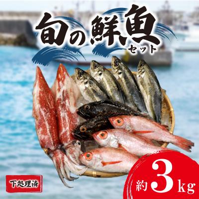 ふるさと納税 下関市 旬 鮮魚 ボックス 約 3kg 下処理 済 詰め合わせ セット 刺身 下関 山口 IA102