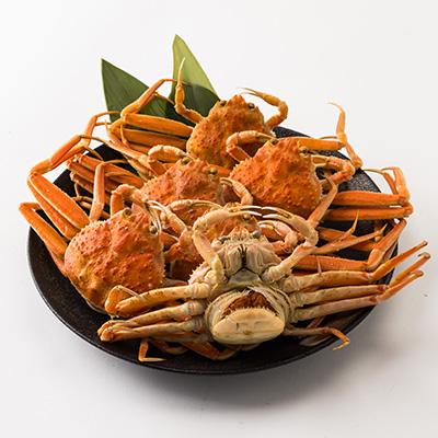 ふるさと納税 養父市 兵庫県香住産　釜茹でセコガニ6〜10匹入り(約1.2kg)【11月中旬以降発送】 |  | 01
