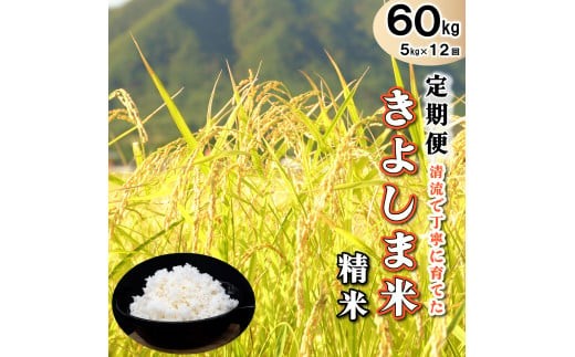 
                  【定期便】きよしま米【精米】５kg×12か月[826] コシヒカリ
                