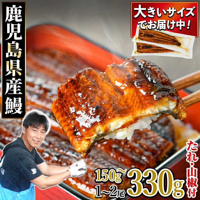 東串良町のうなぎ蒲焼(無頭) 2尾(320g以上・タレ、山椒付)