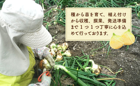 山木さんちのプレミアム 新玉ねぎ 10kg 期間限定 玉ねぎ 旬 春 産地直送 兵庫県 洲本市 淡路島