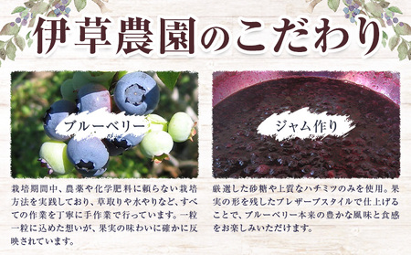 ジャム 神石高原町産 ブルーベリー ジャム 食べ比べ 2本セット 2種 計90g 伊草農園《30日以内に出荷予定(土日祝除く) 》広島県 神石高原町 ブルーベリー ジャム てん菜糖 さとうきび糖