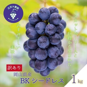 岡山　花笑み農園のブドウ『訳ありBKシードレス』1kg　WB-1【9月中旬～順次発送】【配送不可地域：離島】【1628322】