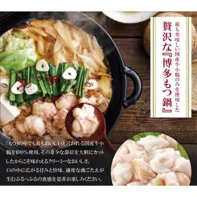 Z82-66 やまや ぷるっぷる♪博多もつ鍋セット（あごだし醤油味）3～4人前 もつ鍋