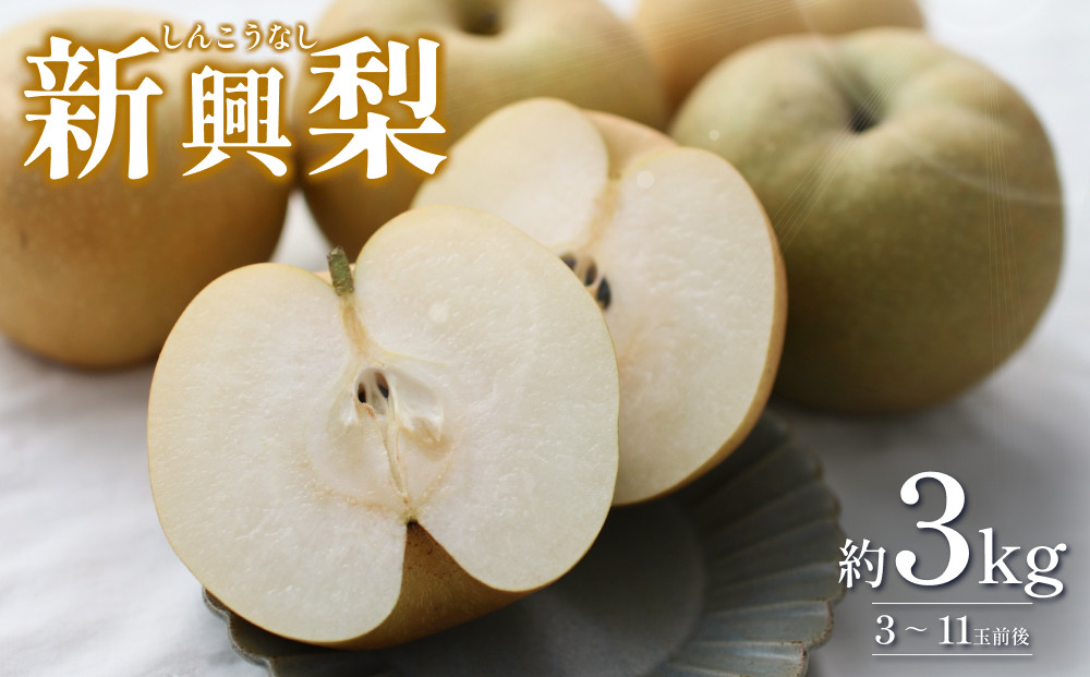 
                  【2026・先行予約】新興梨（しんこうなし）3kg｜鳥取 果物 くだもの フルーツ なし 梨 和梨 旬 数量限定 2026年収穫後【41037】
                