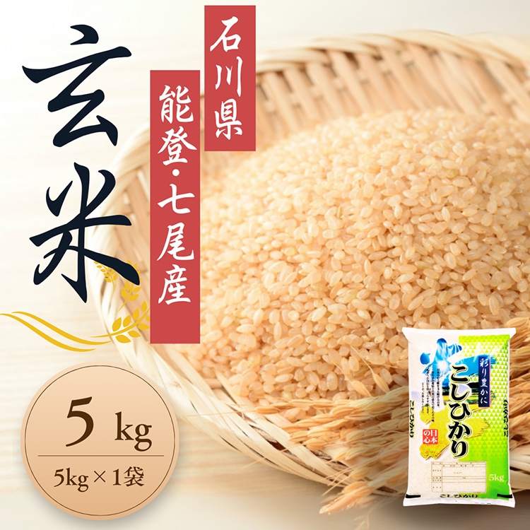 
                  【発送時期が選べる】石川県能登産こしひかり玄米5kg（5kg×1個） / 米 玄米 5kg 日本初！世界農業遺産認定「能登の里山里海」の恵み ｜石川県 七尾市 能登 ※2026年6月～発送
                