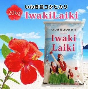 白米 いわき 白米 白米 白米 20kg