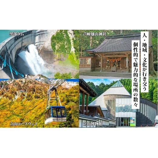 富山県 立山町 旅行クーポン 90,000 円分 キャンプ 体験 登山 観光 旅行 ホテル 旅館 老舗 高級 トラベル チケット 家族 カップル 宿泊 予約 おすすめ 父の日 母の日 旅行券 宿泊券 