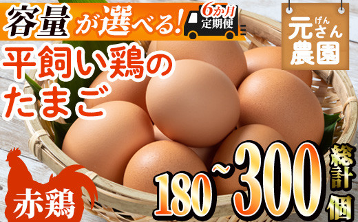 
                  ＜内容量が選べる＞ 平飼い赤鶏のたまご (総計180個・総計300個/6回連続) 定期便 元さん農園 卵 玉子 卵かけご飯 玉子焼き 平飼い 鶏 鶏卵 養鶏場直送送 朝採れ 新鮮 【GE005・GE006】【 (株)海九】
                
