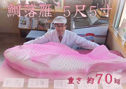 【2607-2556】※発送不可！超巨大！日本一？の大きさの鯛の落雁　和菓子工房　松栄堂のおいしい落雁を5尺5寸の大きさで！