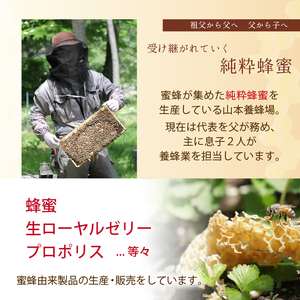 純粋はちみつ ソバ 250g 【山本養蜂場】 ／ はちみつ 蜂蜜 そば